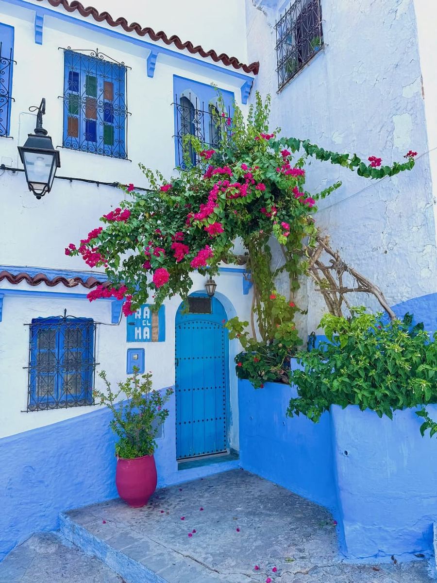 Ruelle bleue de Chefchaouen fleurie de bougainvillier